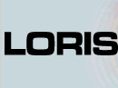 LORIS--Local and regional information society